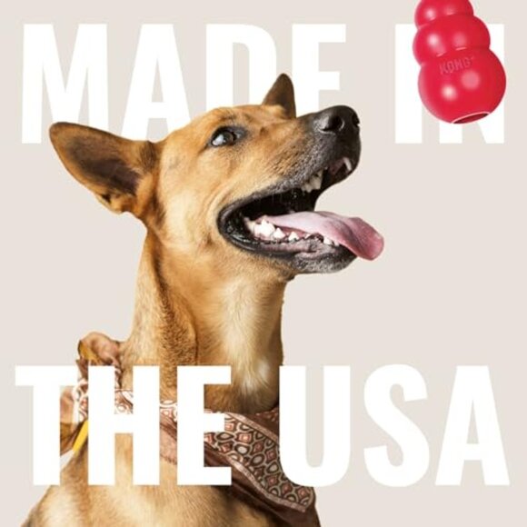 Natural Rubber Dog Tug Toy Interactive Play Indoor Outdoor Medium Large Breed - Picture 7 of 8